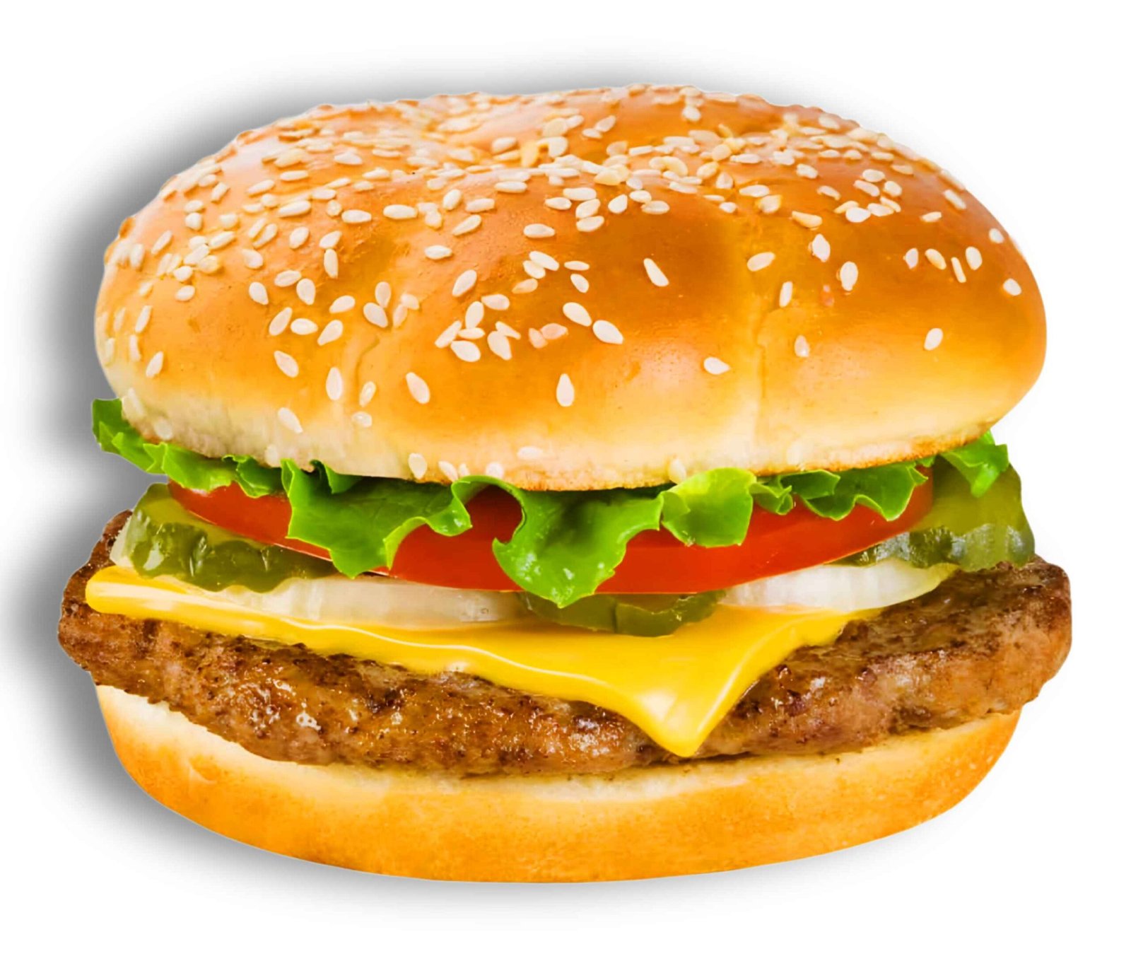 Chicken Burger