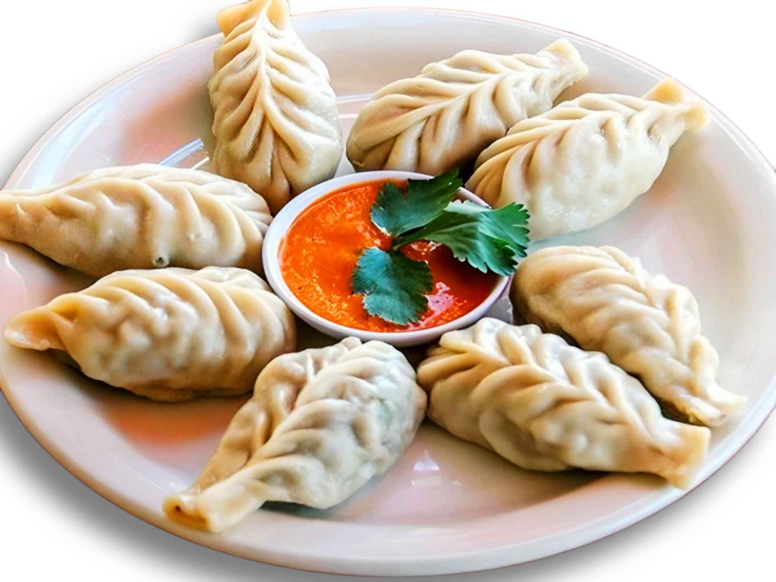 Steamed Momo Chicken